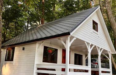 Domek nad jeziorem Lubkowo 1 - Foto 1