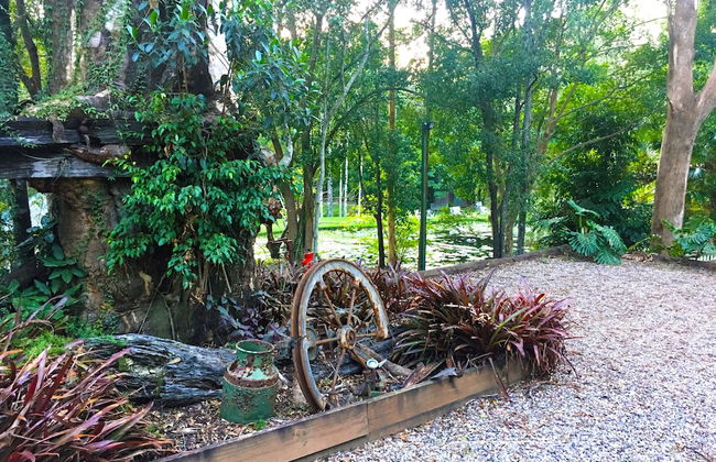 Ecostudio Fellini - Foto 51