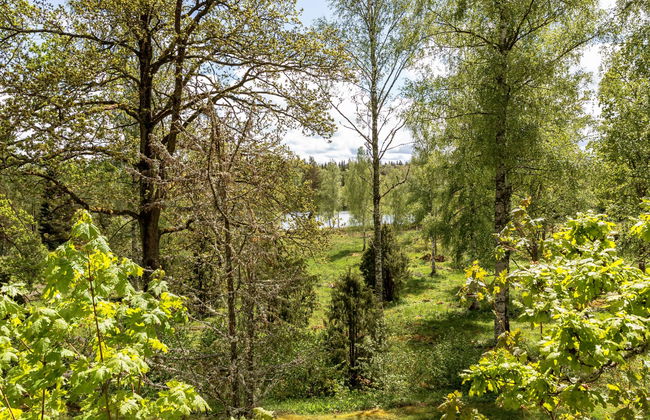 Rödmossa Femton - Foto 31