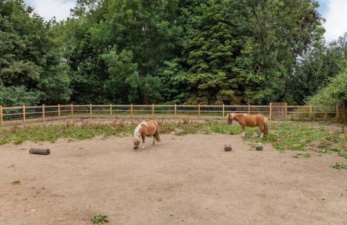 The Nest Box - Photo 22