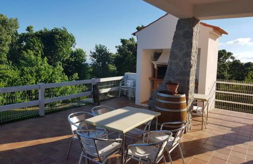 Luar do Cano - Foto 23