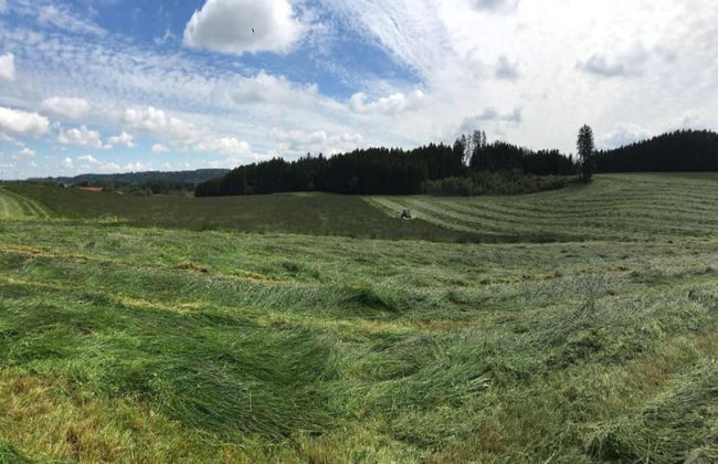 Sunny Terrace Apartment - Foto 30