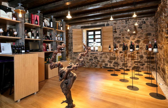 Visita a Viñedos y Bodegas Pittacum - Foto 7