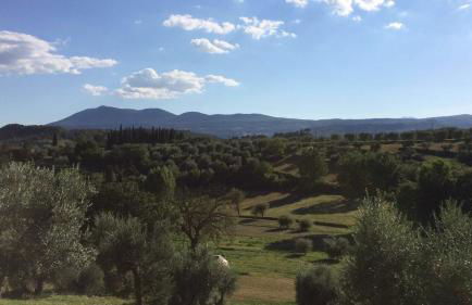 Villa Porsenna - Foto 29