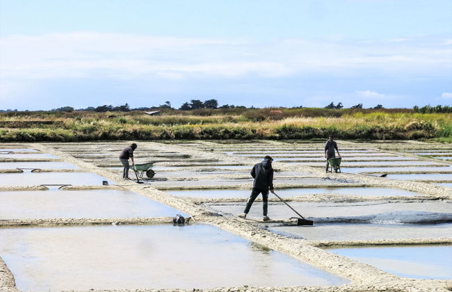 Odalys Collection Le Domaine des Pins - Foto 32