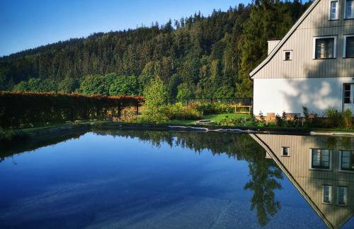 Butikowe apartamenty w Sudetach - TRZY MORZA - pod górą Trójmorski Wierch - Foto 42