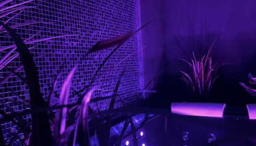 Au cocon des Corbière - La bohème - Foto 5