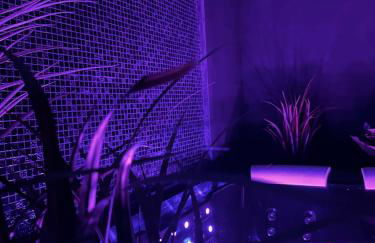 Au cocon des corbières - Élégance - Foto 9