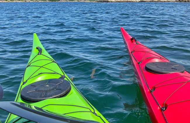 8 Person Holiday Home in Branno-by Traum - Foto 17