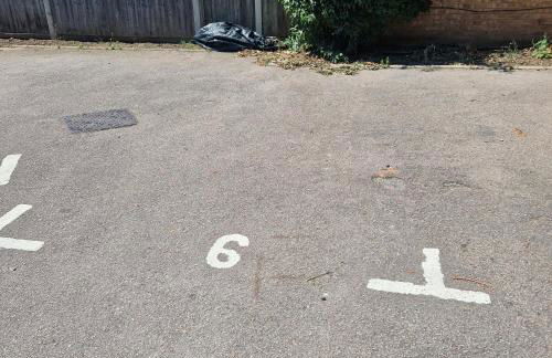 Cosy and Luxurious Home - Photo 2