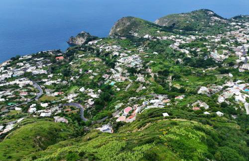 Villa Gesualda - Foto 6