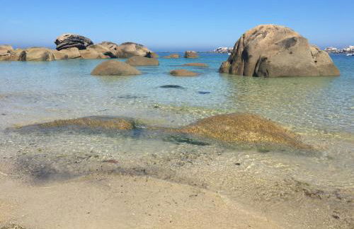 Les Palmiers - Foto 38