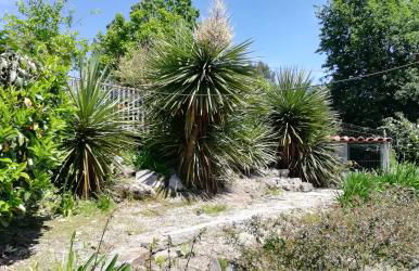 My Portugal for All - Lousada Villa - Foto 53