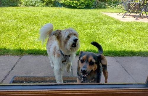 Acorn Cottage, Ashover - Foto 17