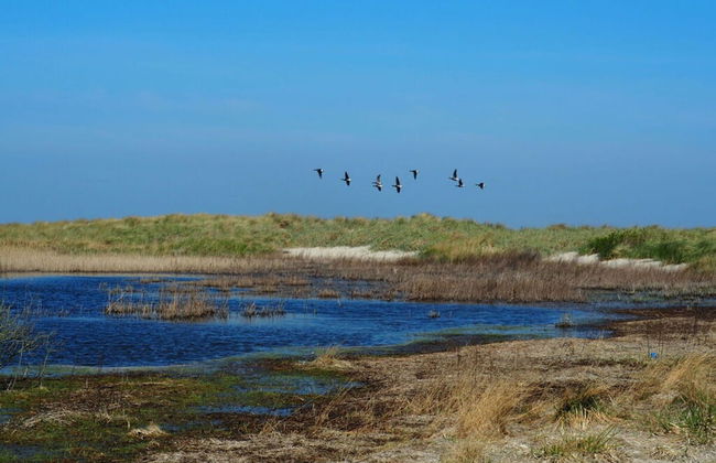 Villa Garden Cloud 7 - Foto 2