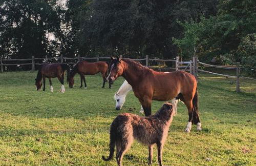 Le Buscagneau - Photo 36