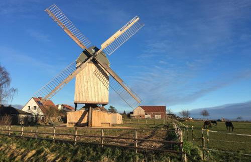 Ferienwohnung Dettum - Foto 86