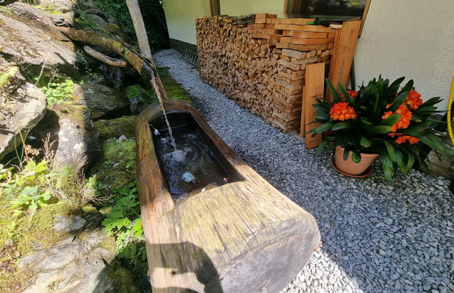 Apart Ladner - Foto 27