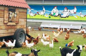 Weidelandfarm am Riebener See - Photo 13