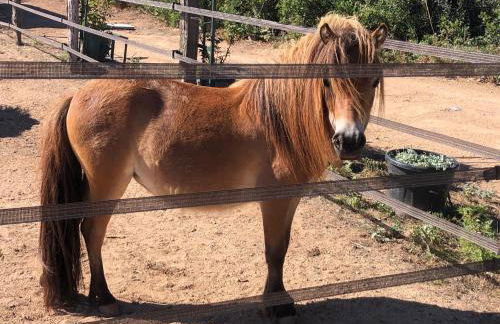 Les Chalets de Tesa - Foto 69