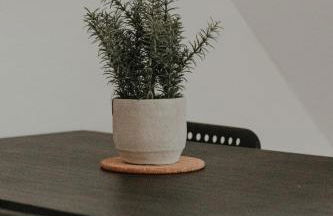 Cozy apartment with a stream view - Foto 16