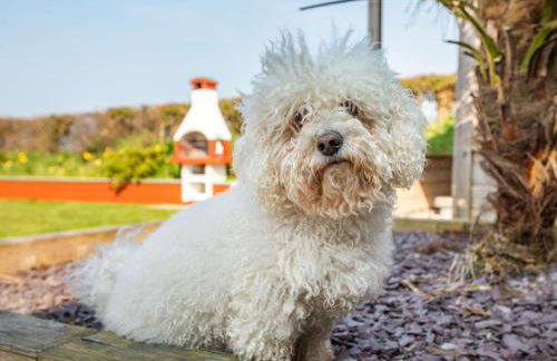 3 Bed in Hartland 51790 - Foto 26