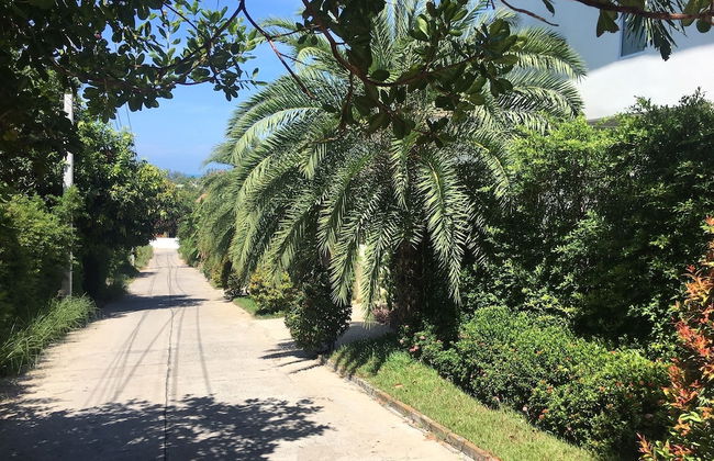 Samui Blue Orchid - Photo 27