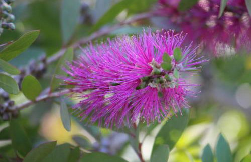 Casa de Tapadeiro - Foto 23