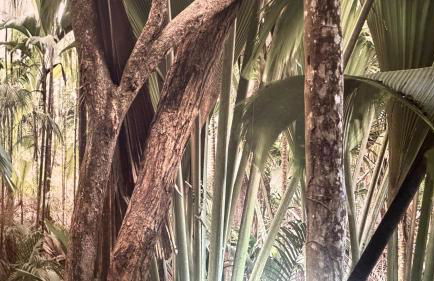 Cabril's Hills Luxe Suites - Foto 6