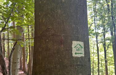 Ferienwohnung am Wald - Photo 12