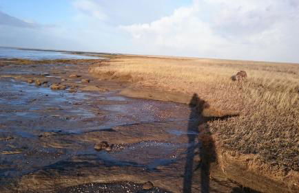 Ferienhaus Klabautermann - Foto 23