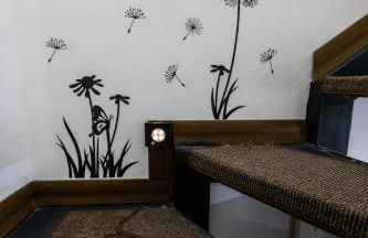 Casetta Cavaliere - tra centro e lungomare - Foto 33