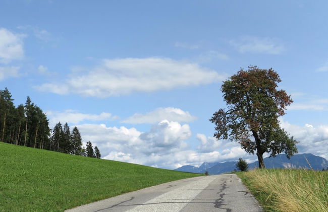 Beautiful Apartment Near Worthersee - Foto 64