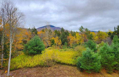 Pico Mountain Perch, Unit B22 - Foto 29