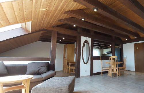 Penthouse Apartment near Nürnberg - Foto 62