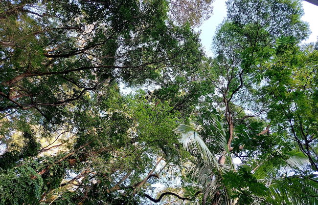 Pedra Bonita Flats - Foto 64