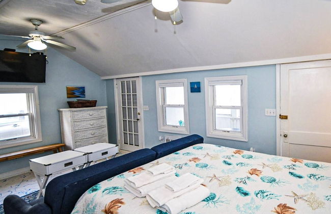 Baby Love Shack - Foto 32