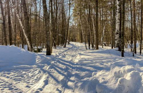 Pet-Friendly Lakefront Cabin by arc Vacation Rentals - Foto 11