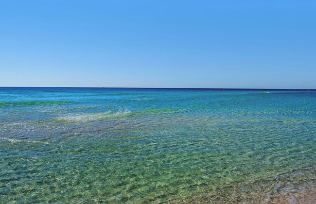 Jetty East 404a - Foto 43