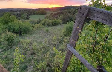 Królewska Sielanka - Foto 44