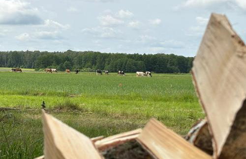 Dom na Podlasiu - Foto 16