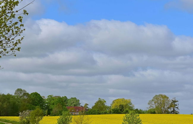 Ferienwohnung im Gutshaus Schulenbrook - Foto 20