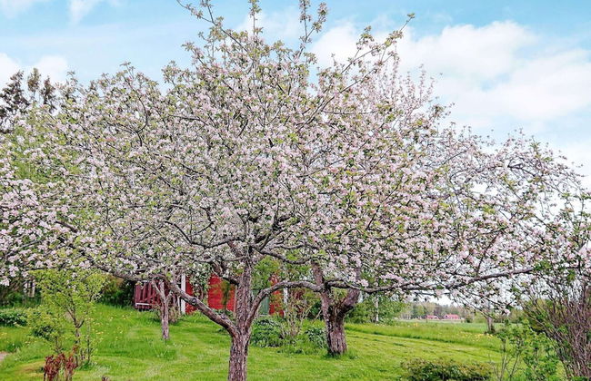 5 Person Holiday Home in Storvik - Photo 24