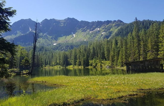 Room-holiday Home Kahr Apartment Roßbran - Photo 36