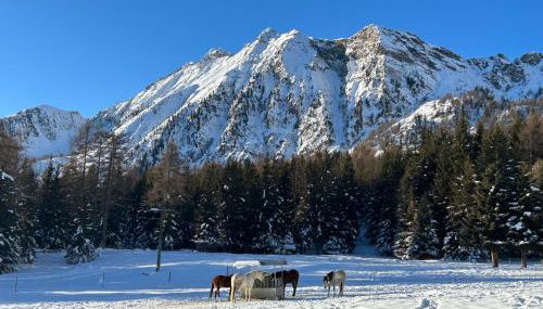 Maison Du Coeur Champoluc - Spa, Gym e aree relax - Foto 3