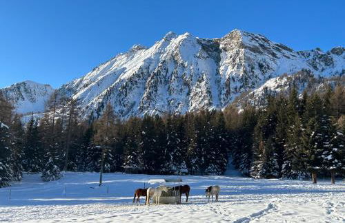 Maison Du Coeur Champoluc - Spa, Gym e aree relax - Foto 3