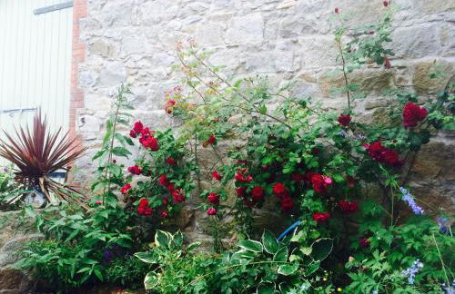 Cavan House - Foto 26