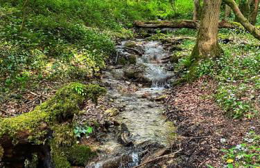 Cupcake Cottage: Quintessential Cotswold Cottage - Foto 26