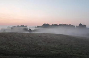 Siedlisko na łące - Foto 12