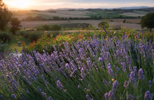 Tenuta dei Mori-Wine Relais Events - Foto 33
